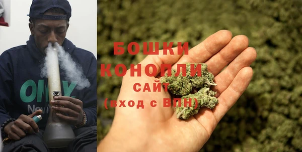 прущие крисы Осинники