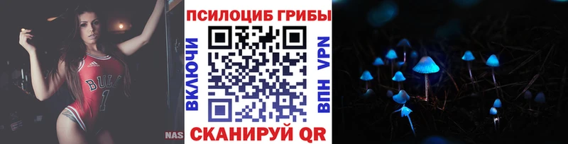 Купить  Талица  Галлюциногенные грибы Cubensis 